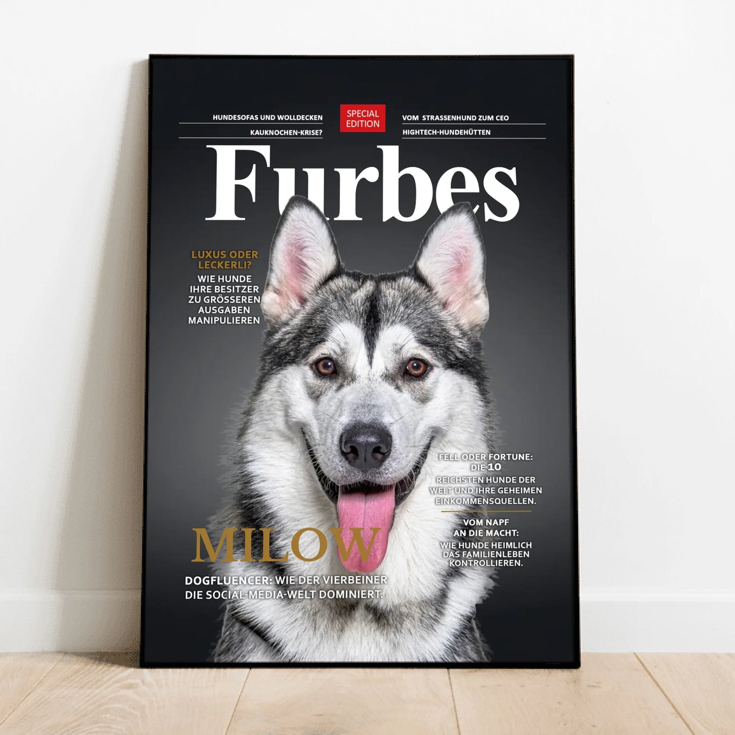 Personalisiertes Poster - Furbes