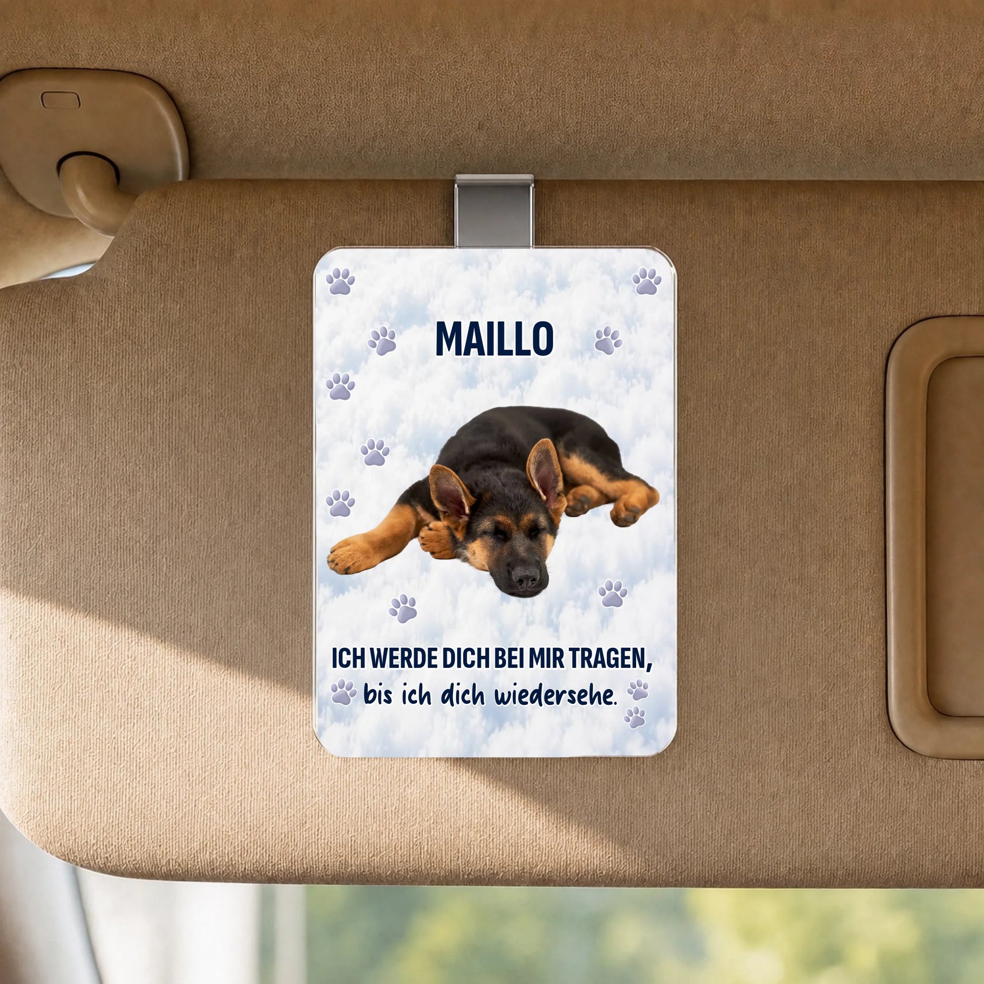 Sun Visor Clip SHOP