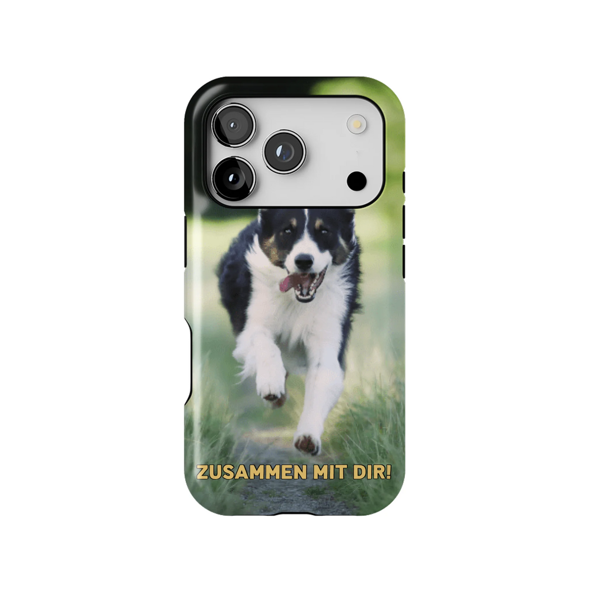 15PT_Mockup