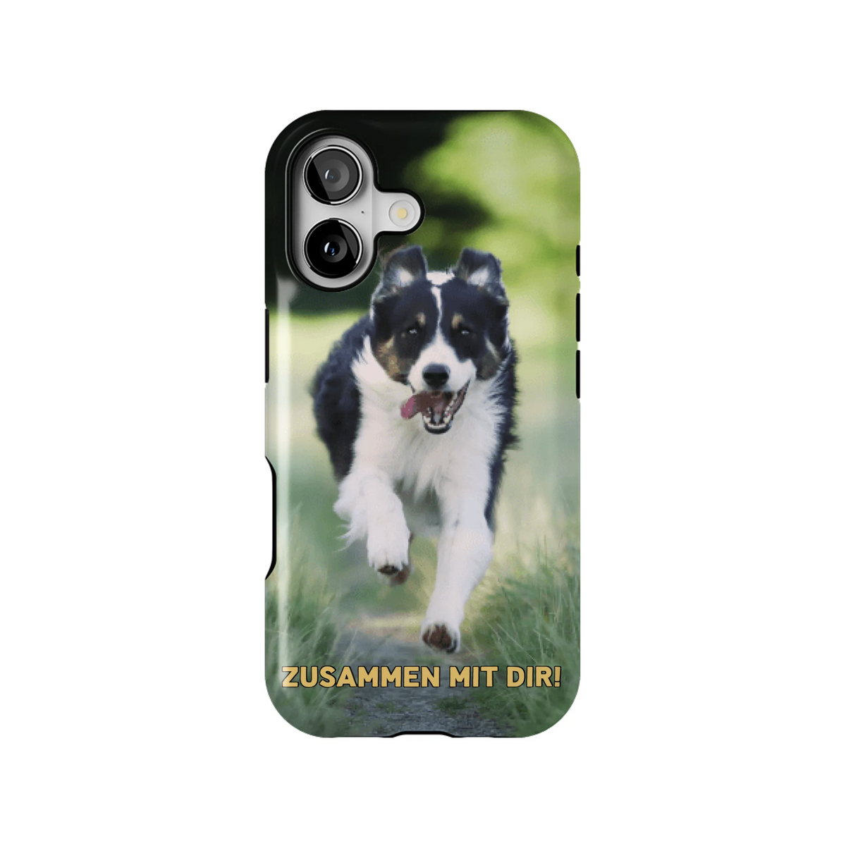 15PLT_Mockup
