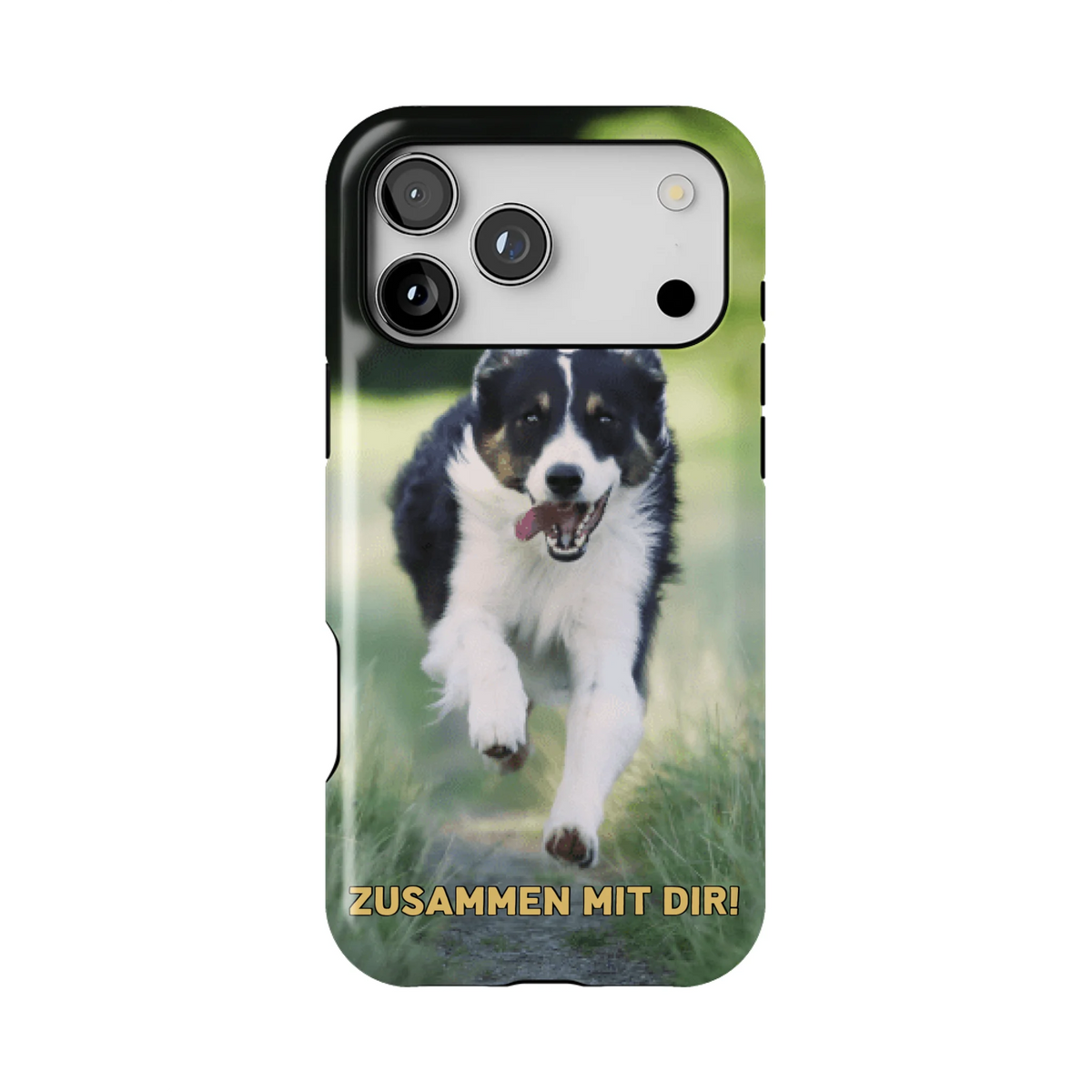 15PMT_Mockup