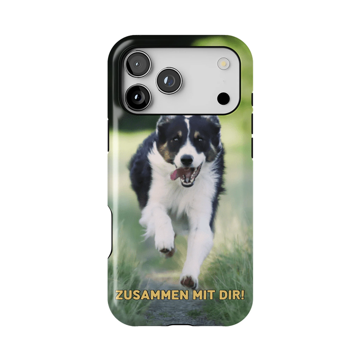 15PMT_Mockup