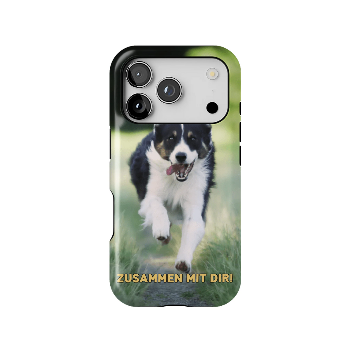 15PT_Mockup