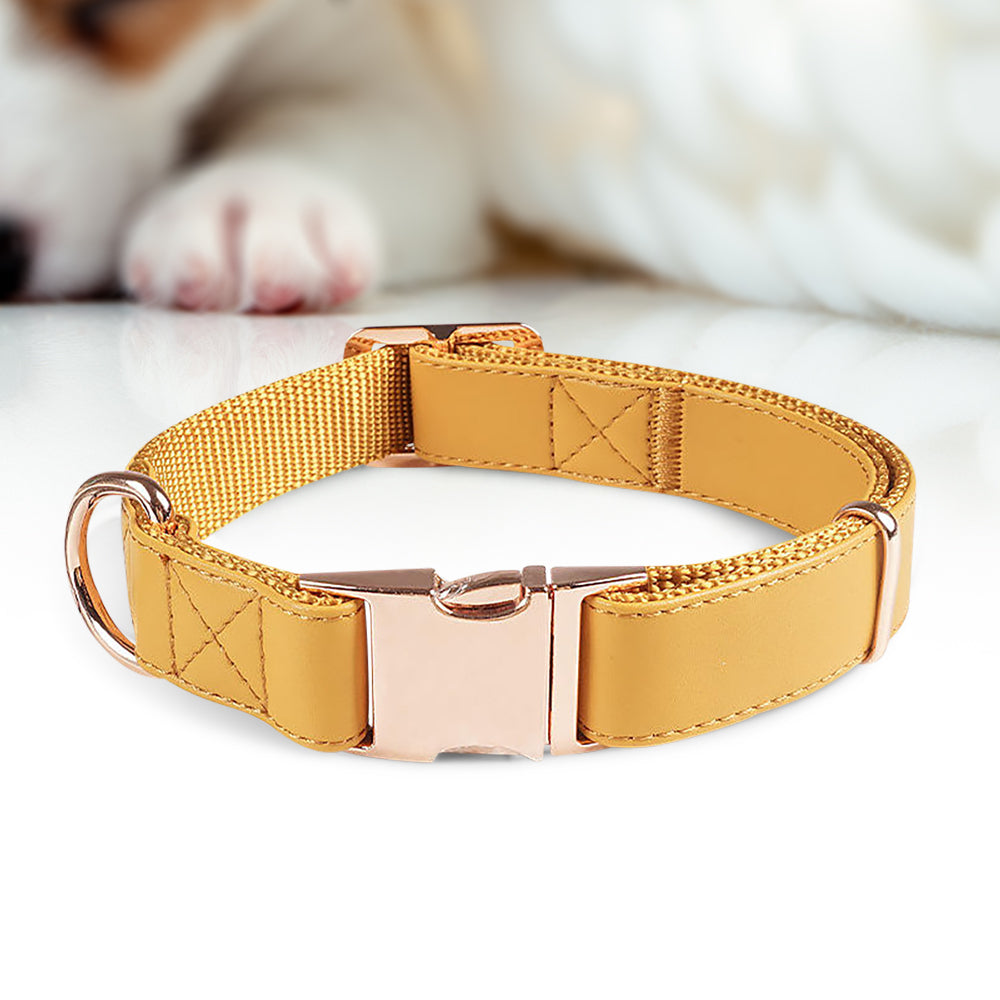 Elegantes Hundehalsband - verstellbar