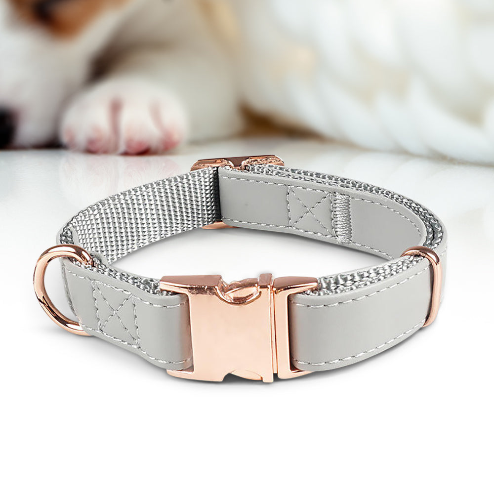 Elegantes Hundehalsband - verstellbar