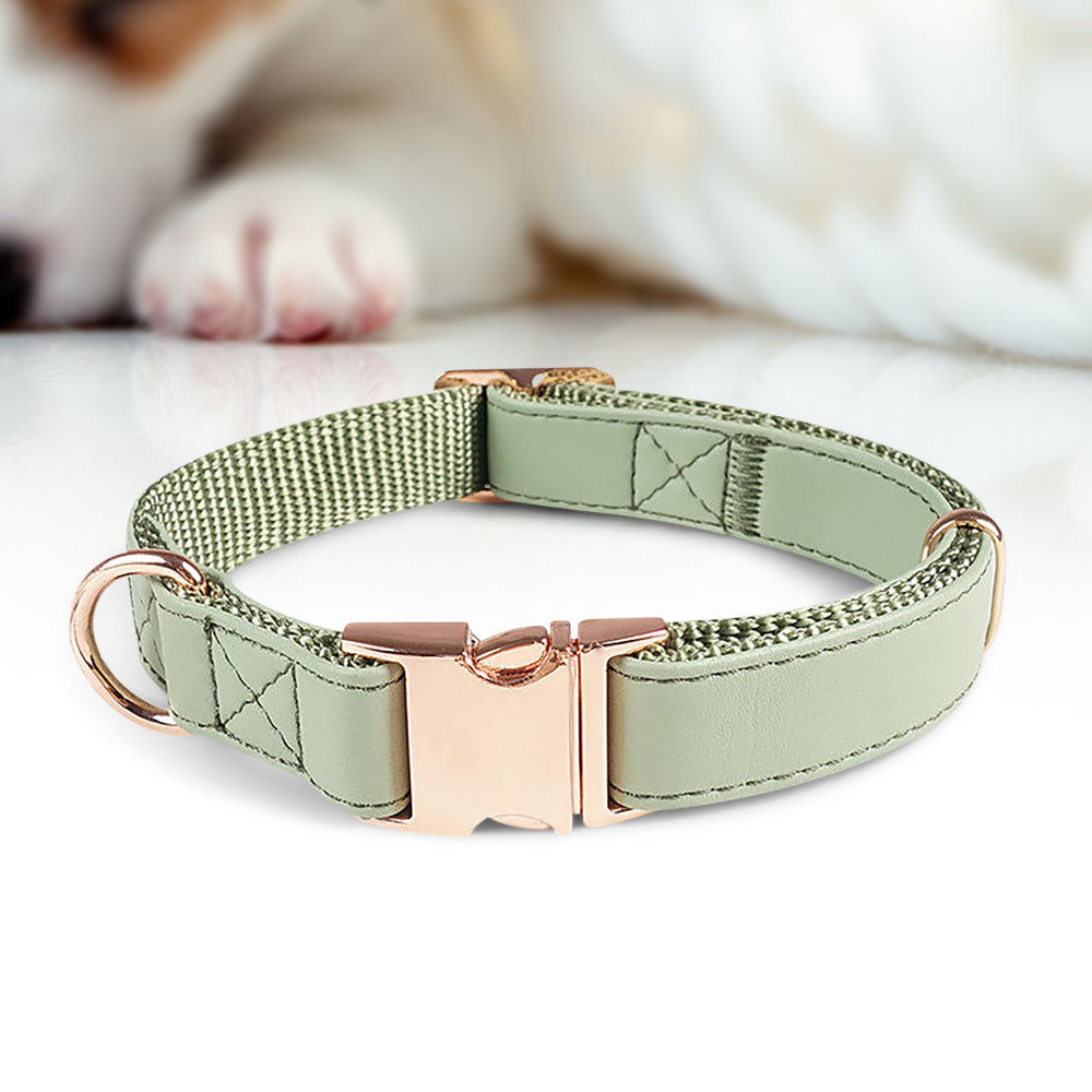 Elegantes Hundehalsband - verstellbar