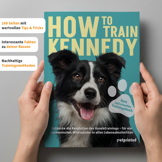 How to: Dein personalisiertes Trainingsbuch