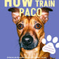 Trainingsbuch Cover