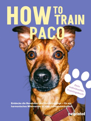Trainingsbuch Cover