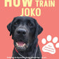 Trainingsbuch Cover
