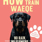 Trainingsbuch Cover