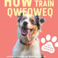 Trainingsbuch Cover