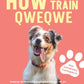 Trainingsbuch Cover