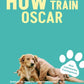 Trainingsbuch Cover