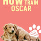 Trainingsbuch Cover