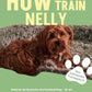 Trainingsbuch Cover