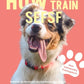 Trainingsbuch Cover