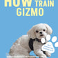 Trainingsbuch Cover