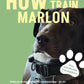 Trainingsbuch Cover