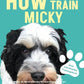 Trainingsbuch Cover