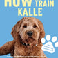 Trainingsbuch Cover