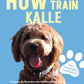 Trainingsbuch Cover
