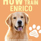 Trainingsbuch Cover