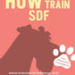 Trainingsbuch Cover