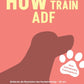 Trainingsbuch Cover