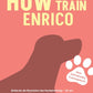 Trainingsbuch Cover
