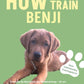 Trainingsbuch Cover