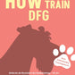 Trainingsbuch Cover