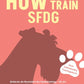 Trainingsbuch Cover
