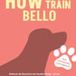 Trainingsbuch Cover
