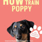 Trainingsbuch Cover