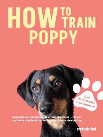 Trainingsbuch Cover