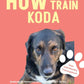 Trainingsbuch Cover