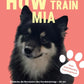 Trainingsbuch Cover