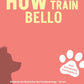 Trainingsbuch Cover