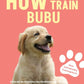 Trainingsbuch Cover
