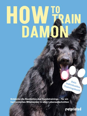 Trainingsbuch Cover