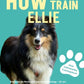 Trainingsbuch Cover