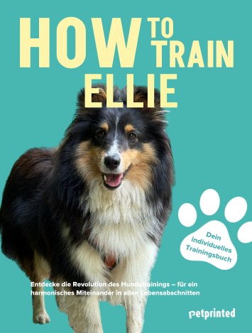 Trainingsbuch Cover